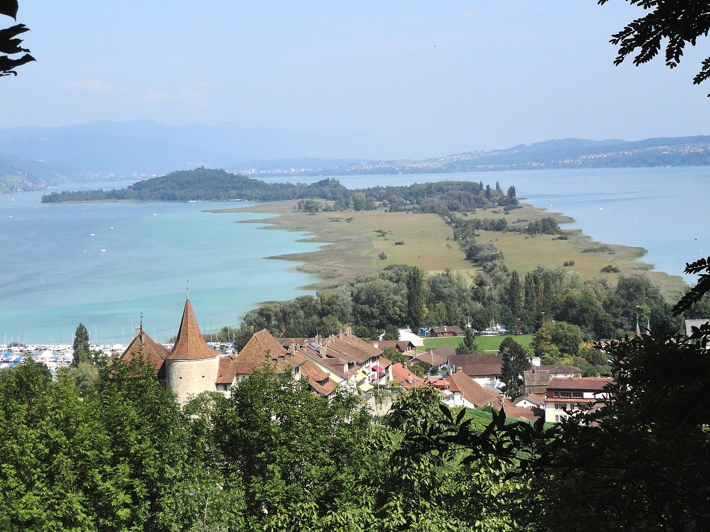 Blick auf St. Petersinsel bei Erlach