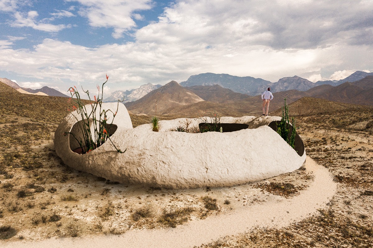 Fossile Schnecke Wow-Förderpreis Airbnb