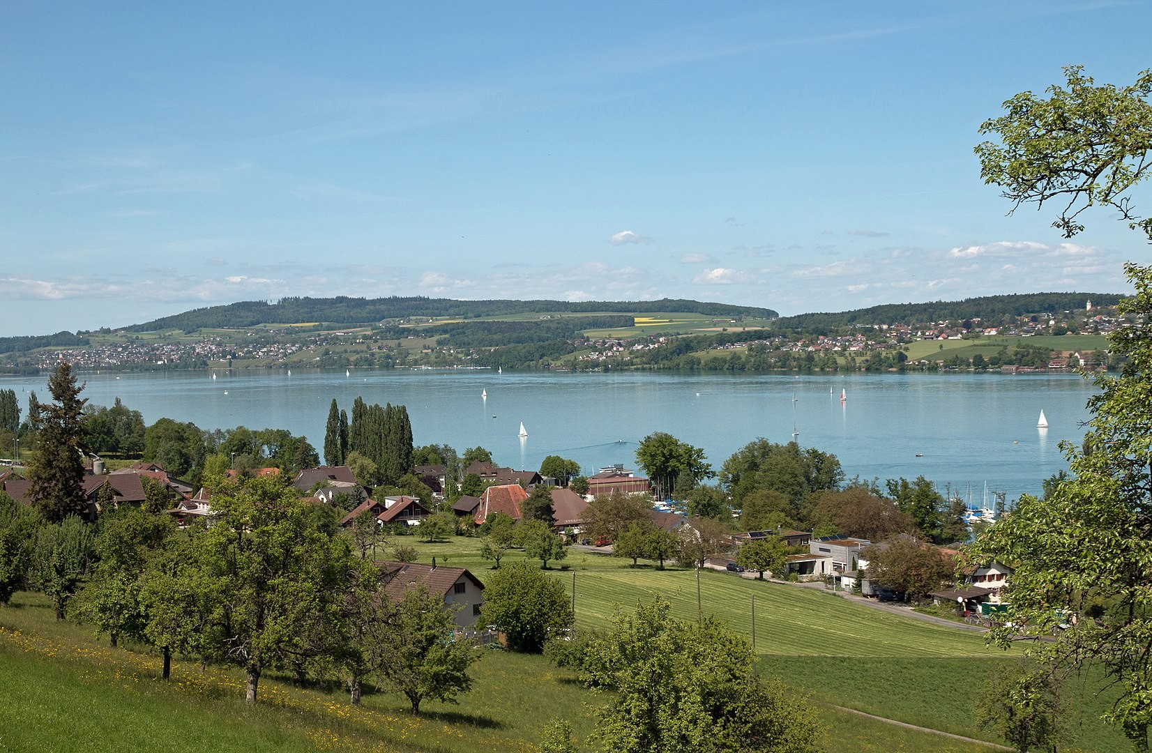 Hallwilersee Blick von Beinwil am See Richtung Seengen und Meisterschwanden