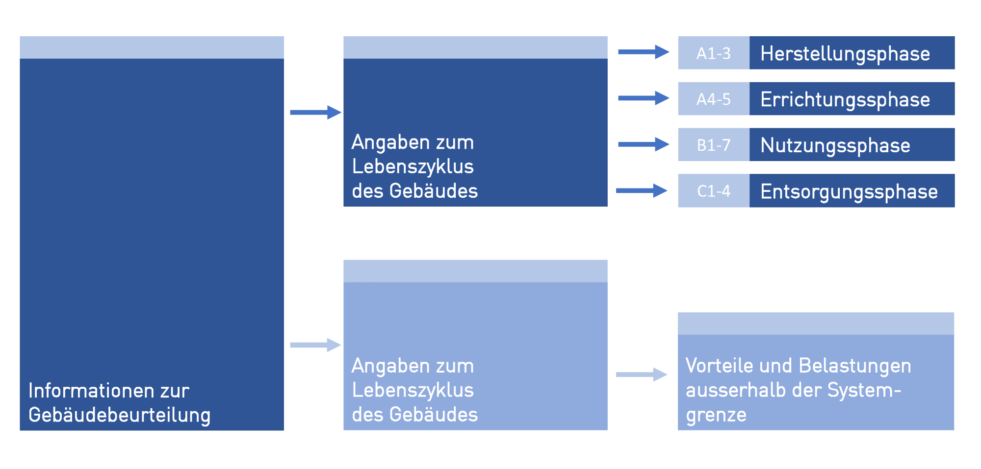 lebenszyklen