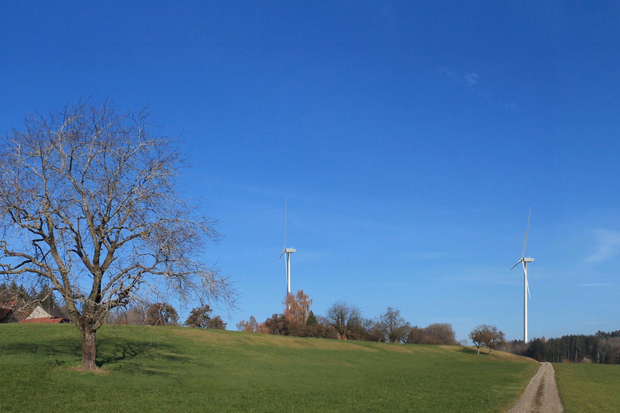 Visualisierung Windpark Thundorf EKZ