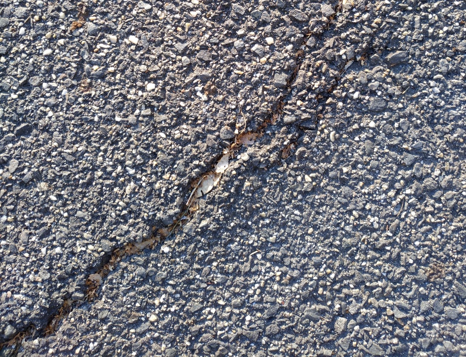 Trockener Asphalt