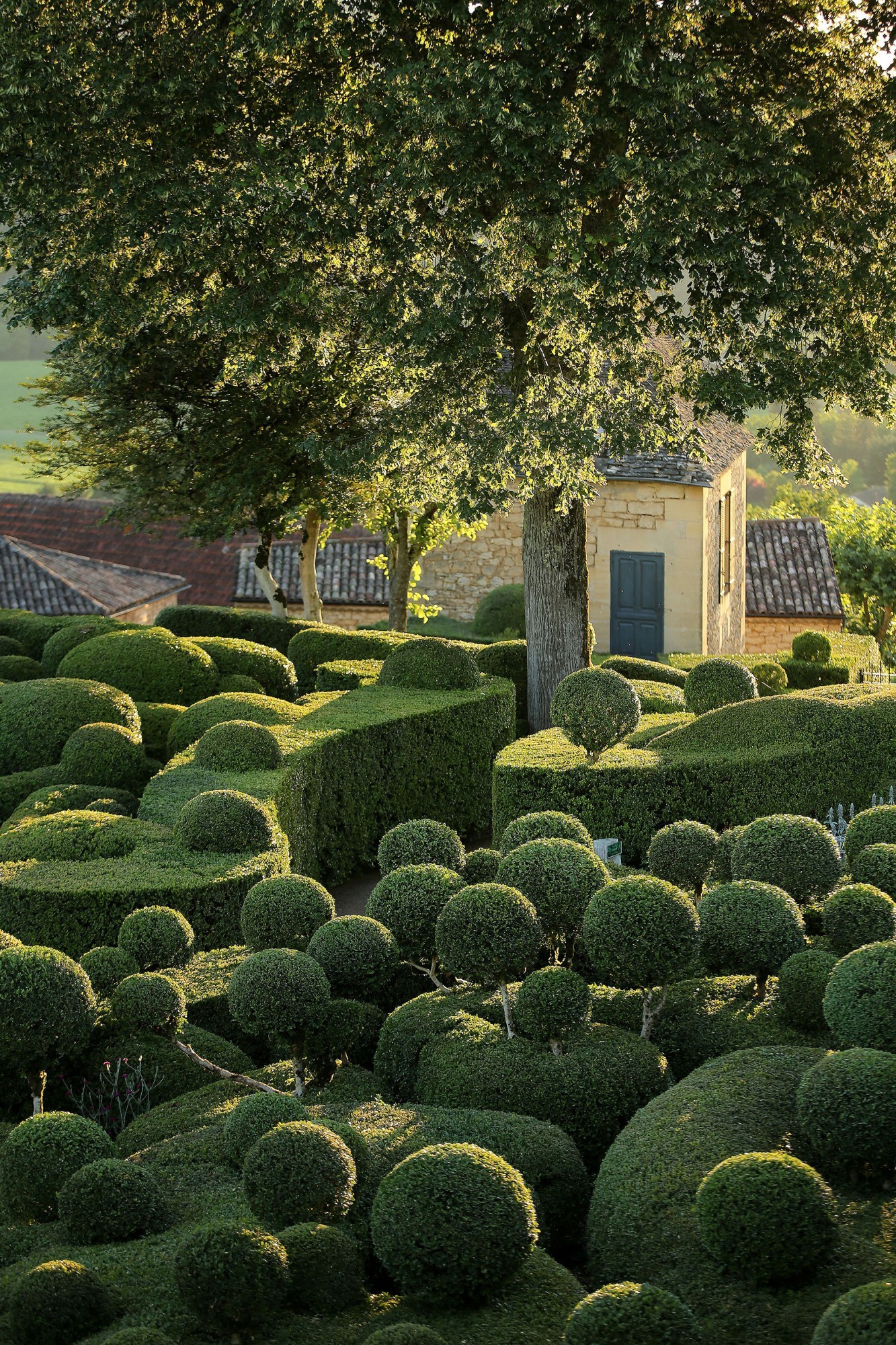 14_VDM_Garden-Futures_Gardens-of-Marqueyssac_Laugery