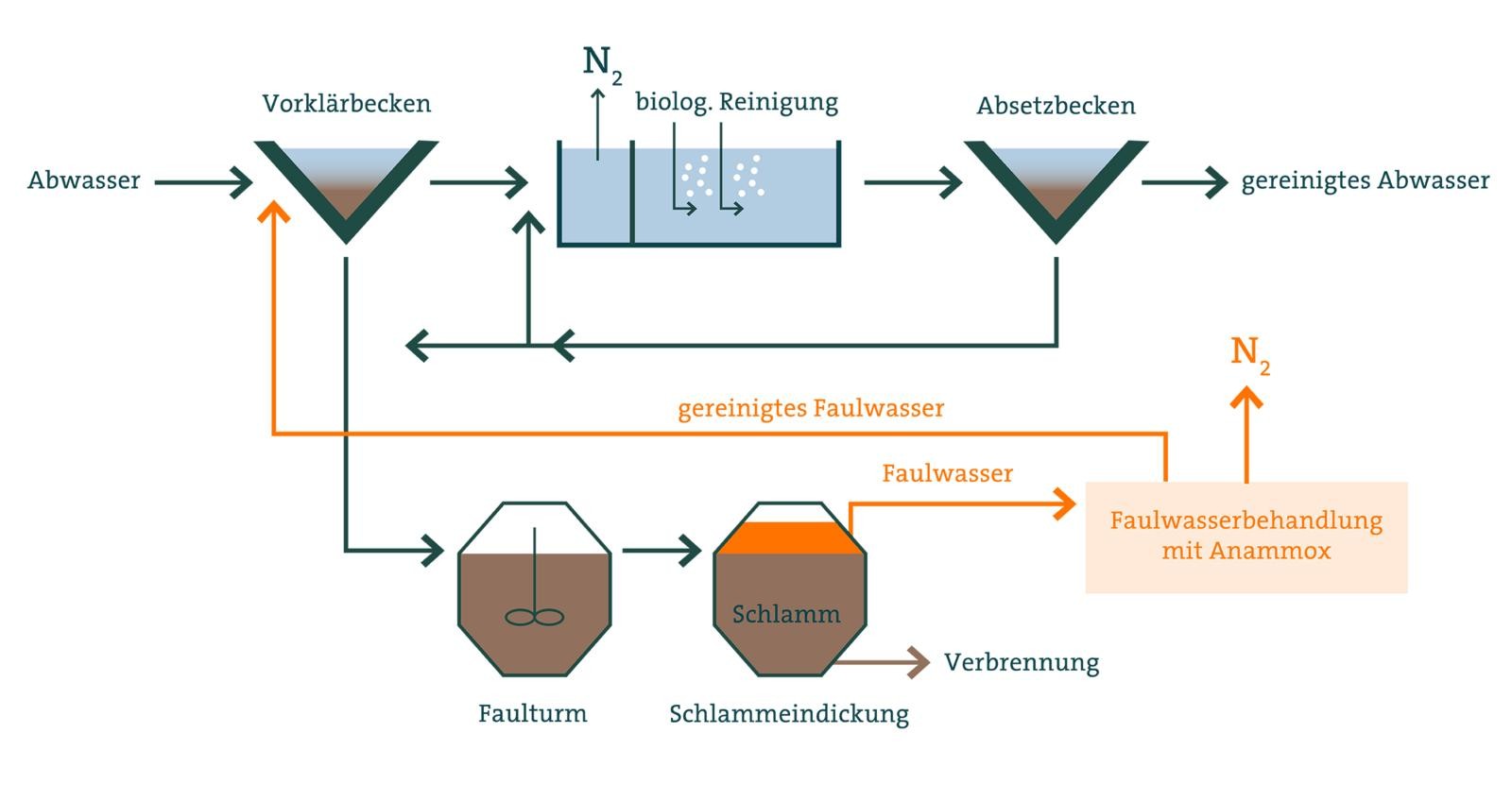 Eawag Anammox Verfahren Grafik