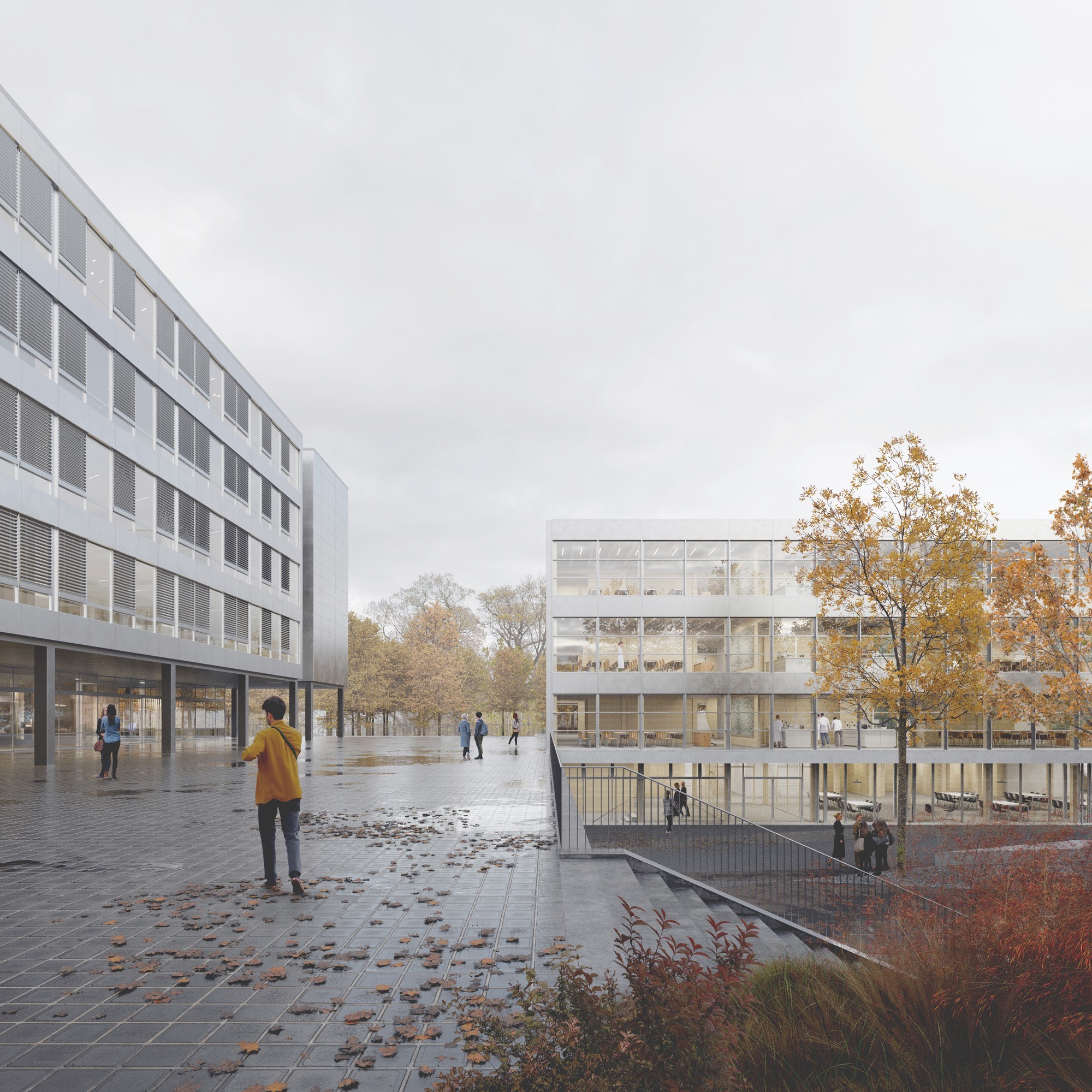 Visualisierung Ersatzneubau Gymnasium Neufeld Bern