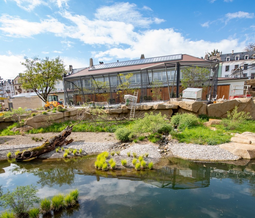 Erneuertes Vogelhaus Zoo Basel