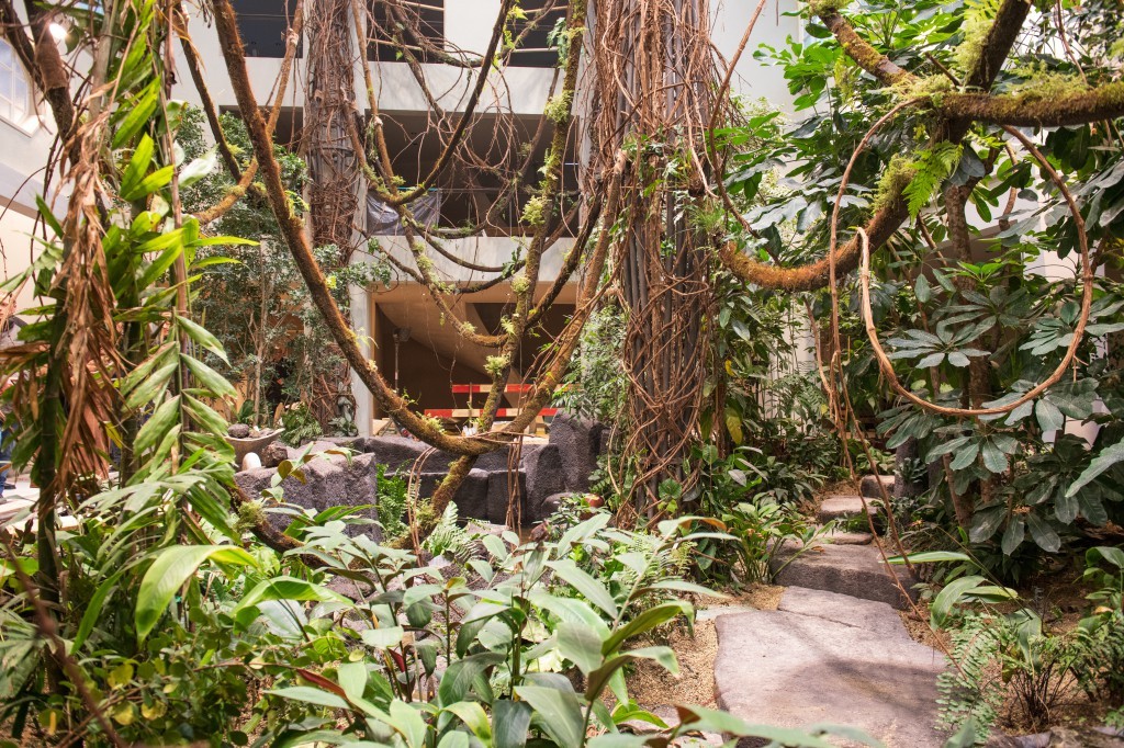 Bepflanzung im erneuerten Vogelhaus Zoo Basel