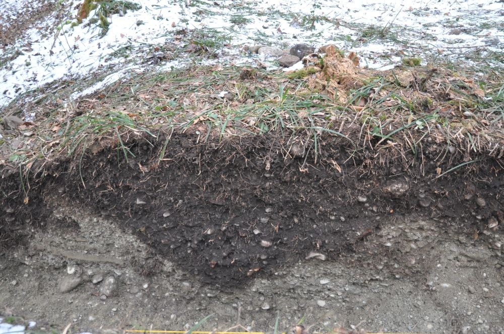 Römischer Spitzgraben Schaaren Hochrhein