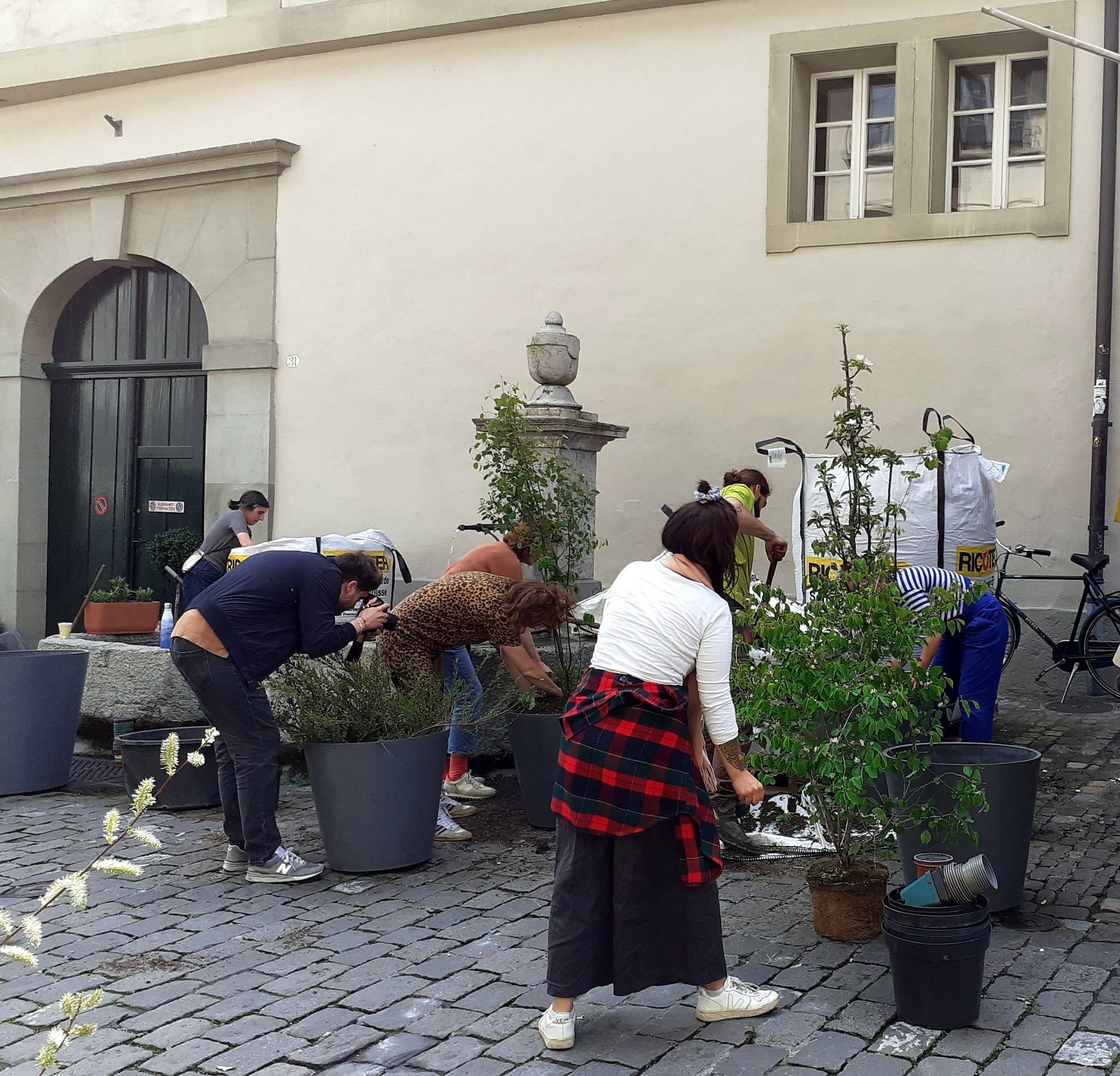 Projekt Grünste Gasse der Schweiz, Uni Bern, Ausgabe Grünpflanzen