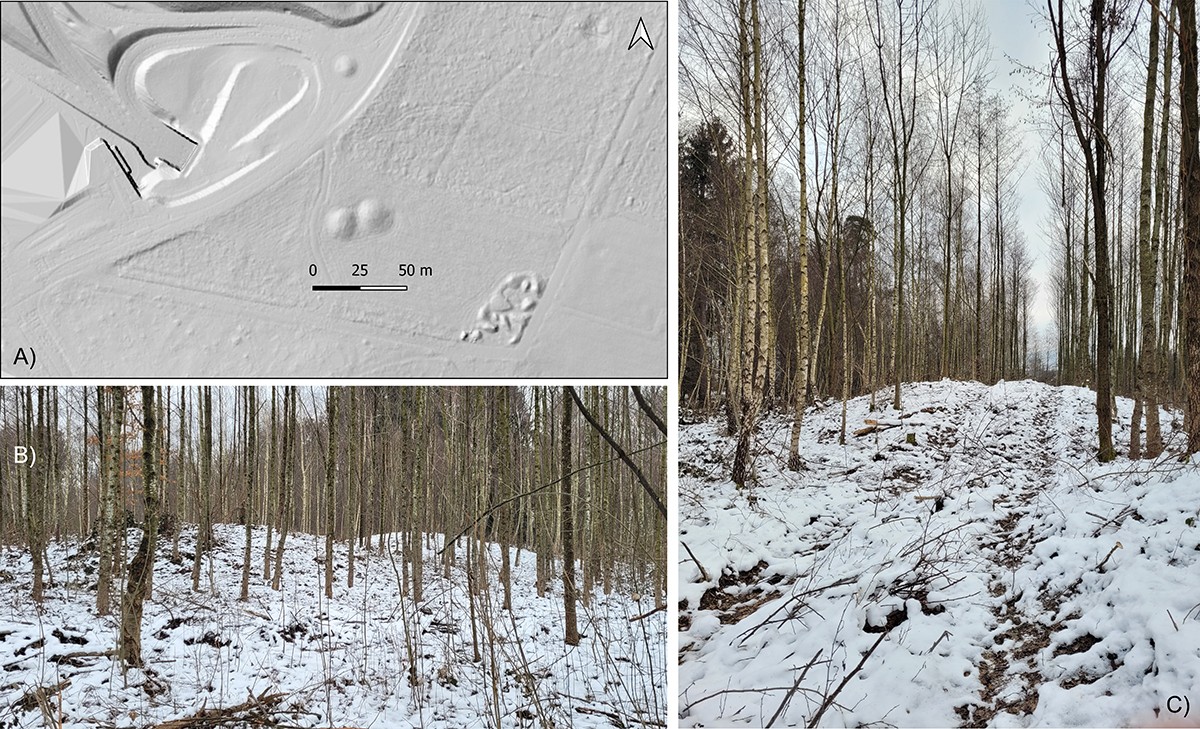 Hügelstrukturen Lidar-Höhenmodell