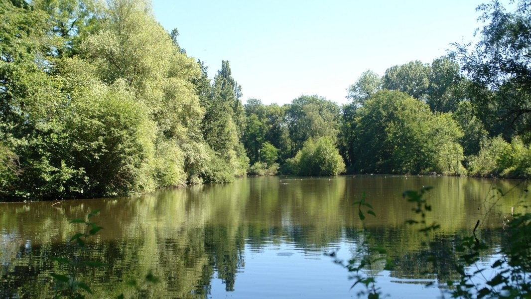 Entenweiher Landschaftspark Wiese