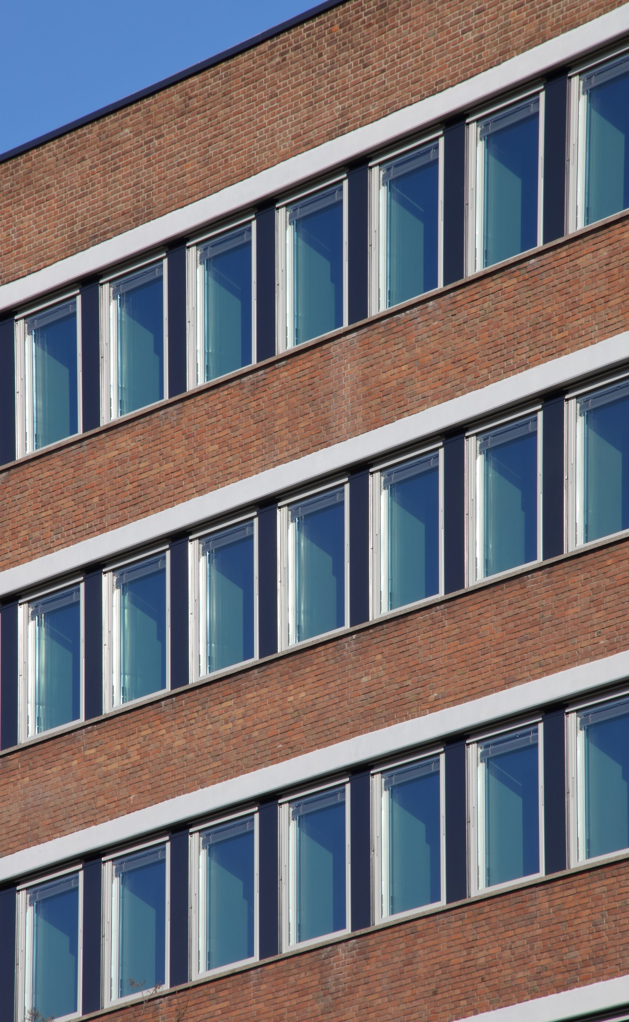 Uni Köln Fensterreihe