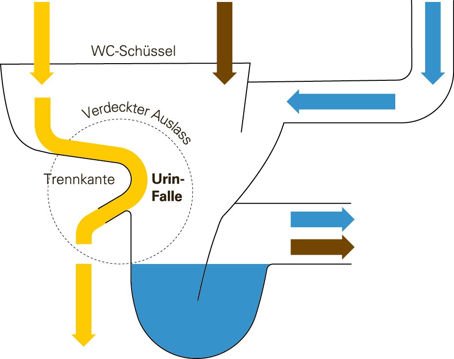 Grafik Urintrennung auf Empa Campus Co Operate