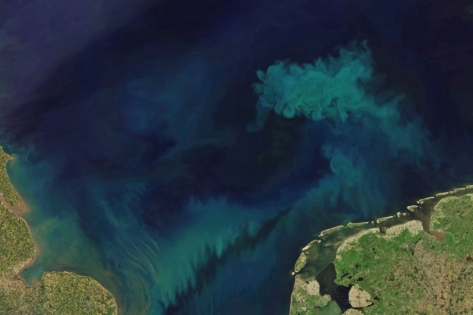 NASA Satellitenbild Ozeanfarbe