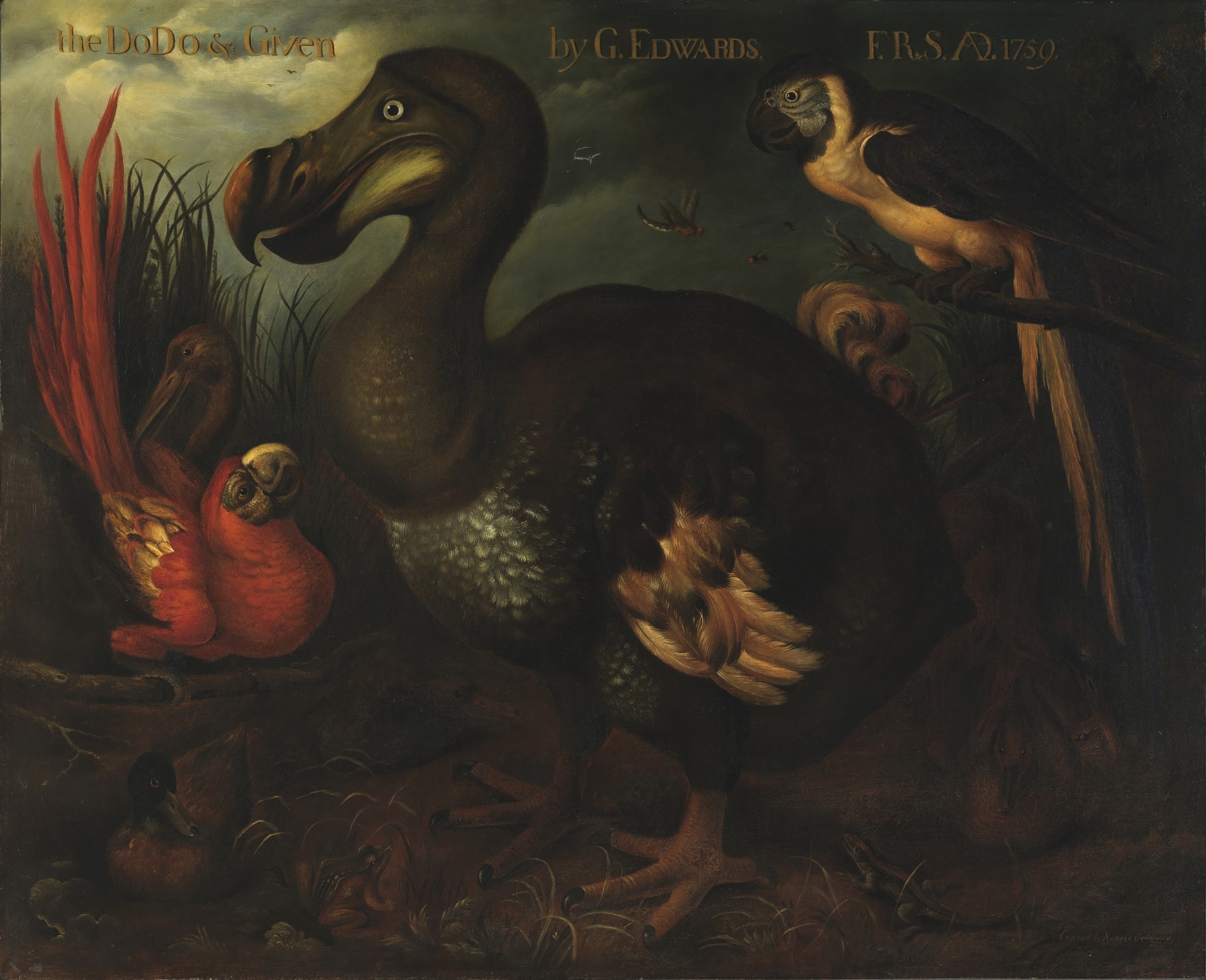 Dodo mit Papgeien (Gemälde)
