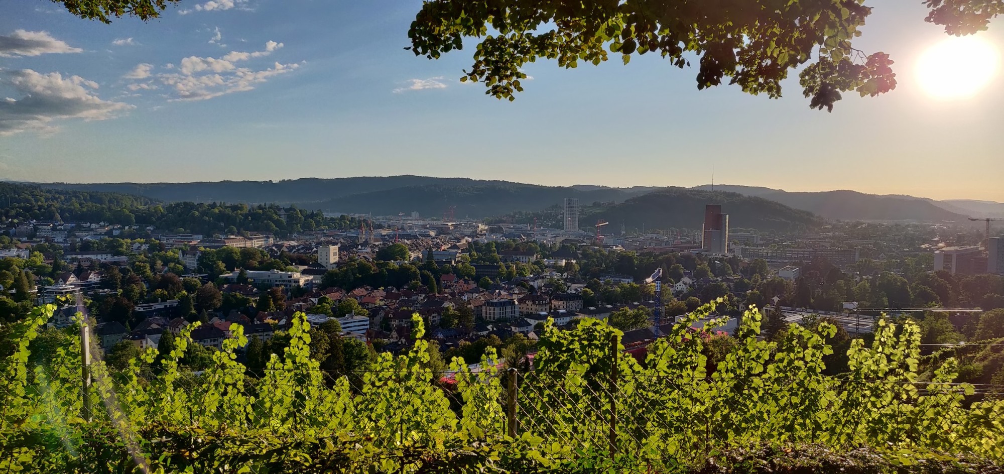 Panorama Winterthur