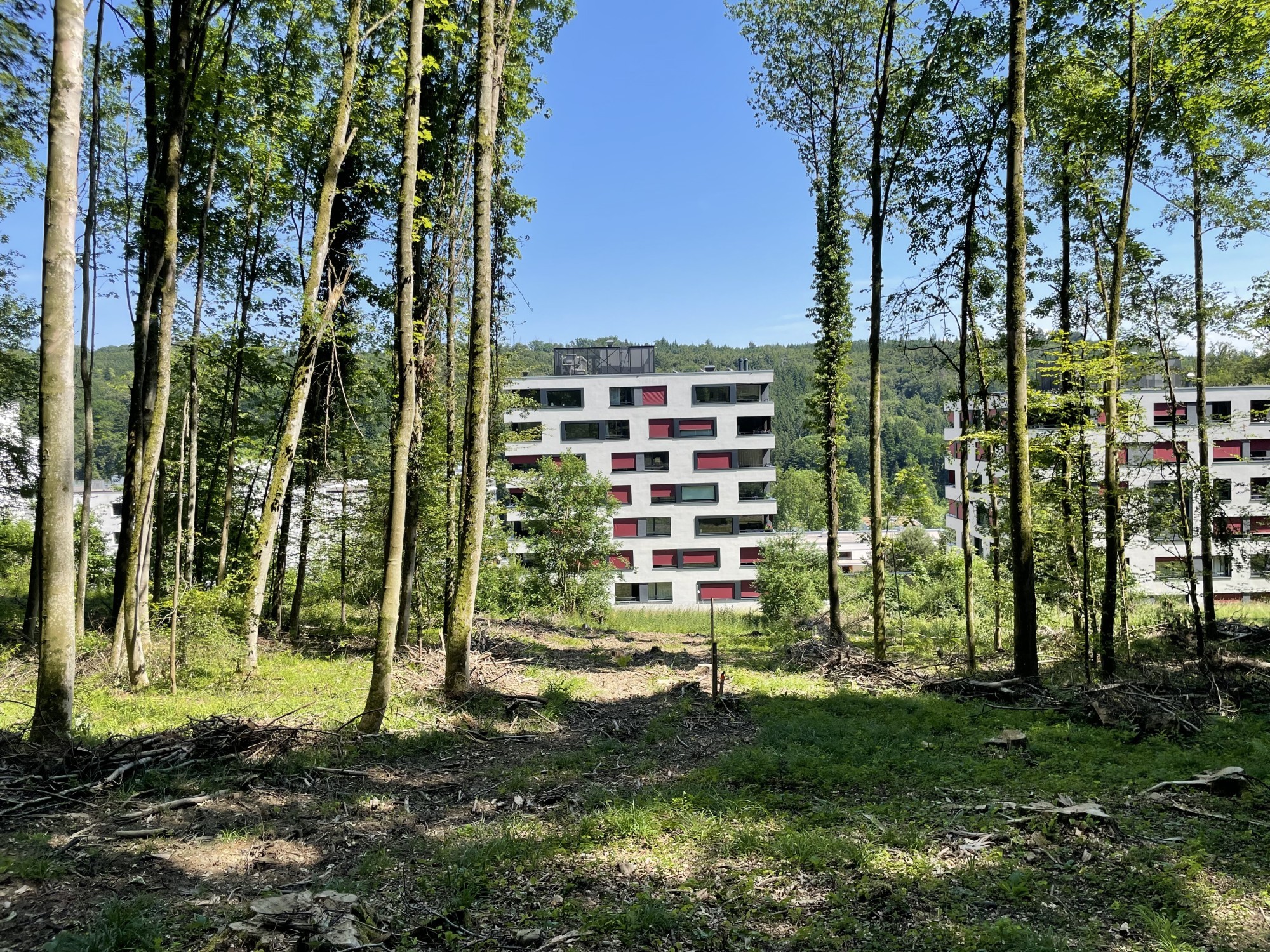 Projekt Kaltluftkorridore, Altersheim Kehl, Baden AG, Kaltluftkorridor