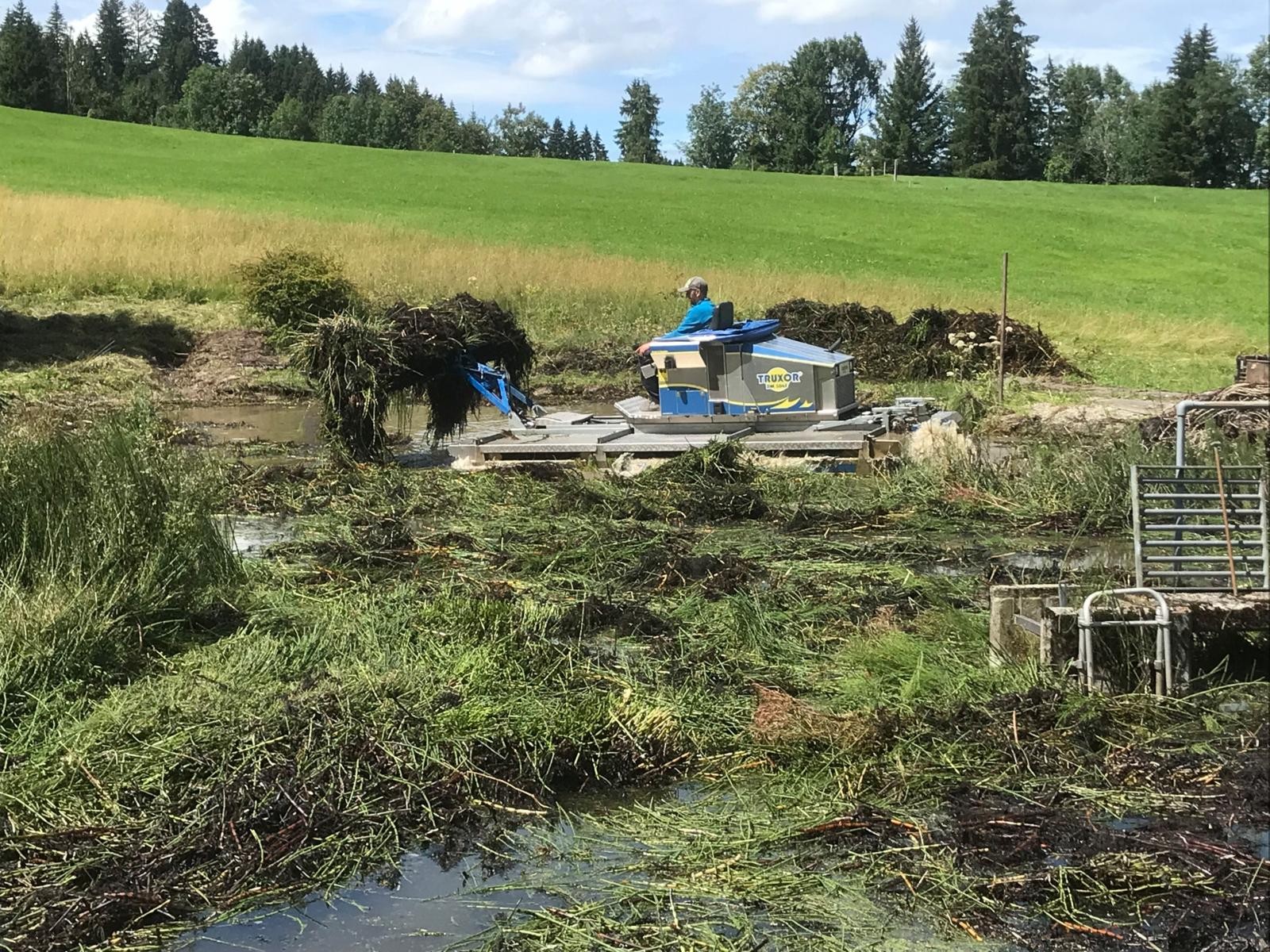 Kaubadweiher Renaturierung Appenzell Innerrhoden