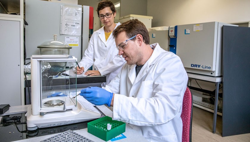 Forscher bestimmen Quaggamuschel-Biomasse