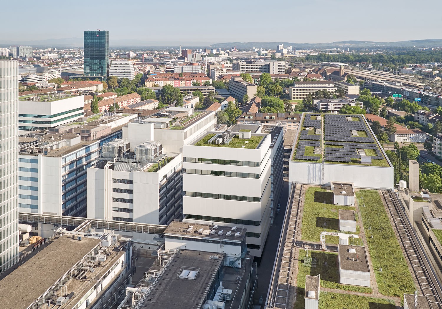 Entwicklung Roche Nordareal Basel