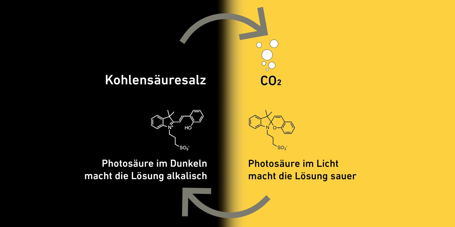 Schema Photsäuren