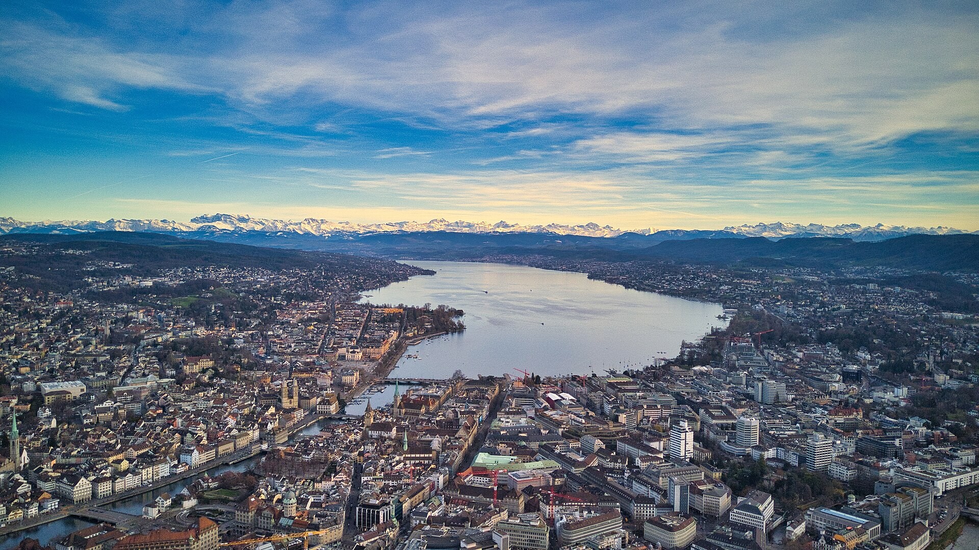 Blick auf den Zürichsee