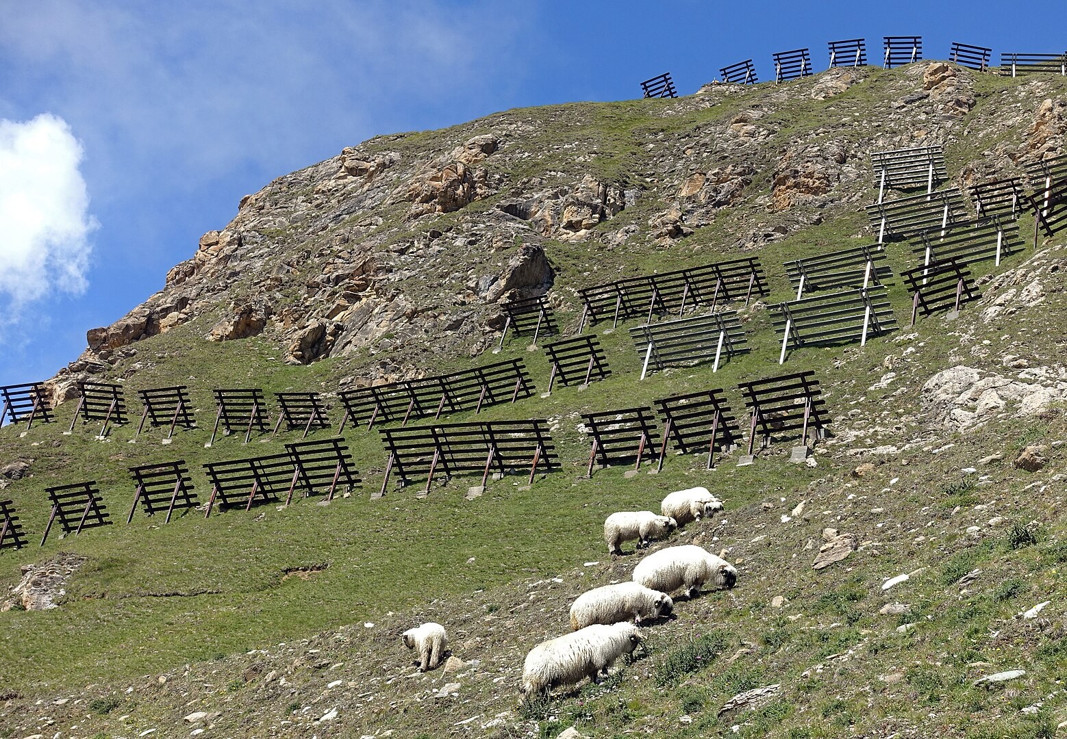 Lawinenverbauung in Zermatt