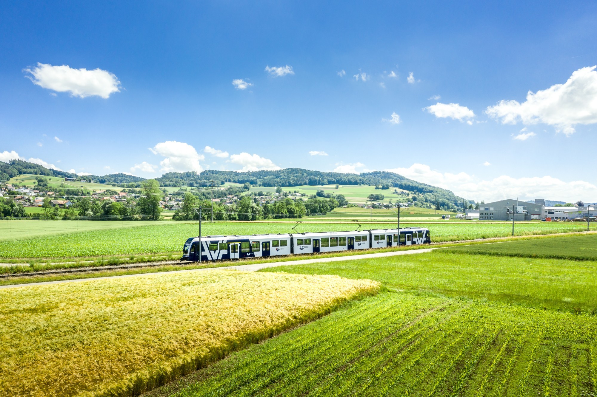 Motiv Saphir (ABe 4/12) der Wynental- und Suhrentalbahn (WSB)