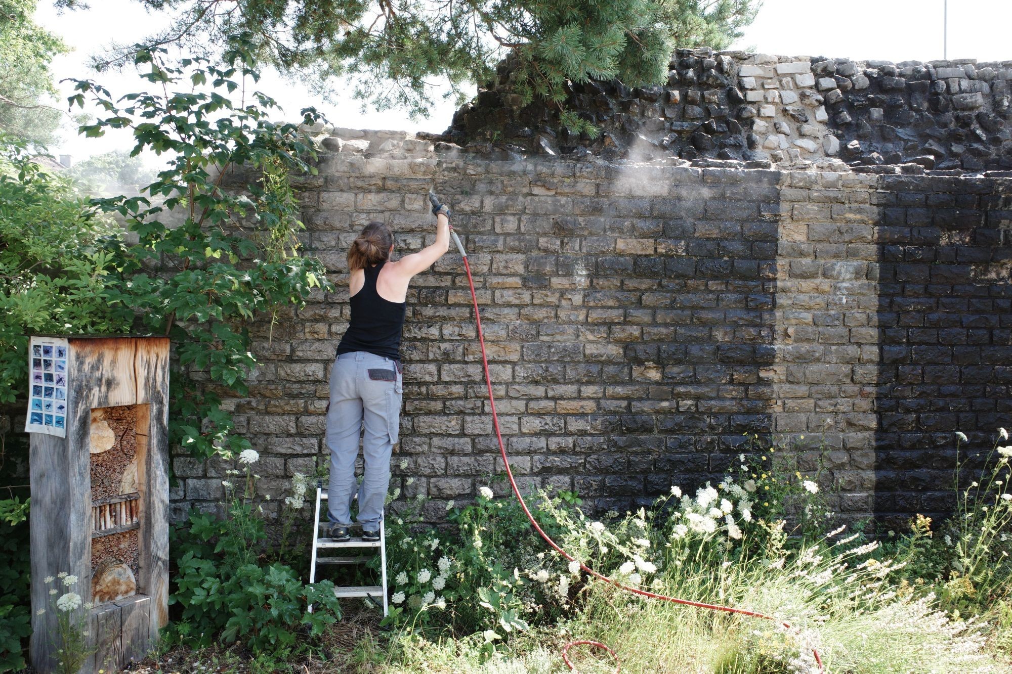 Gesamtrestaurierung Mauer Kastell Kaiseraugst