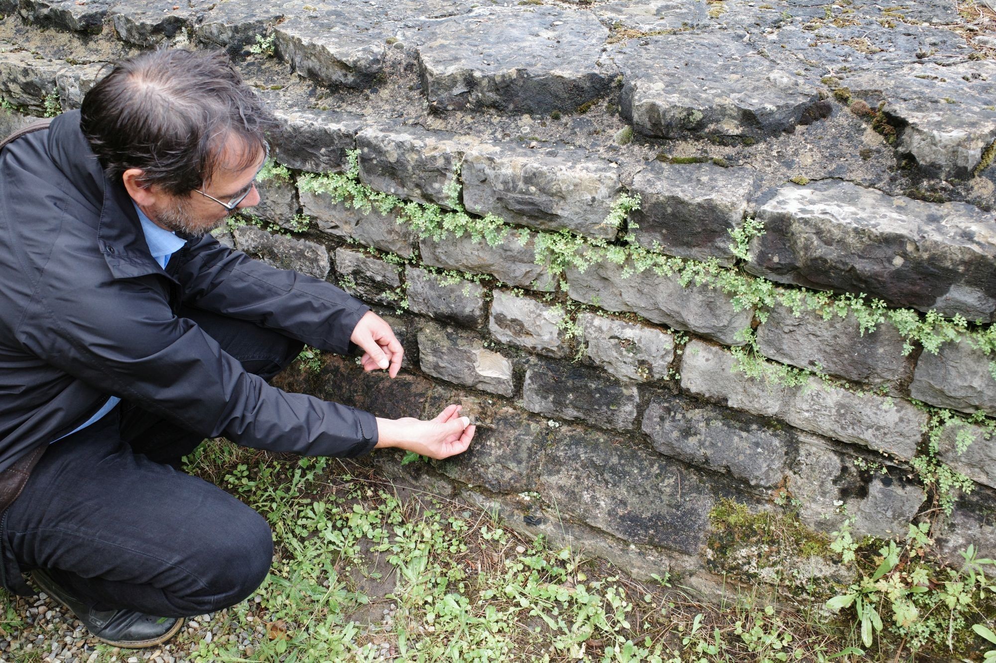 Gesamtrestaurierung Mauer Kastell Kaiseraugst