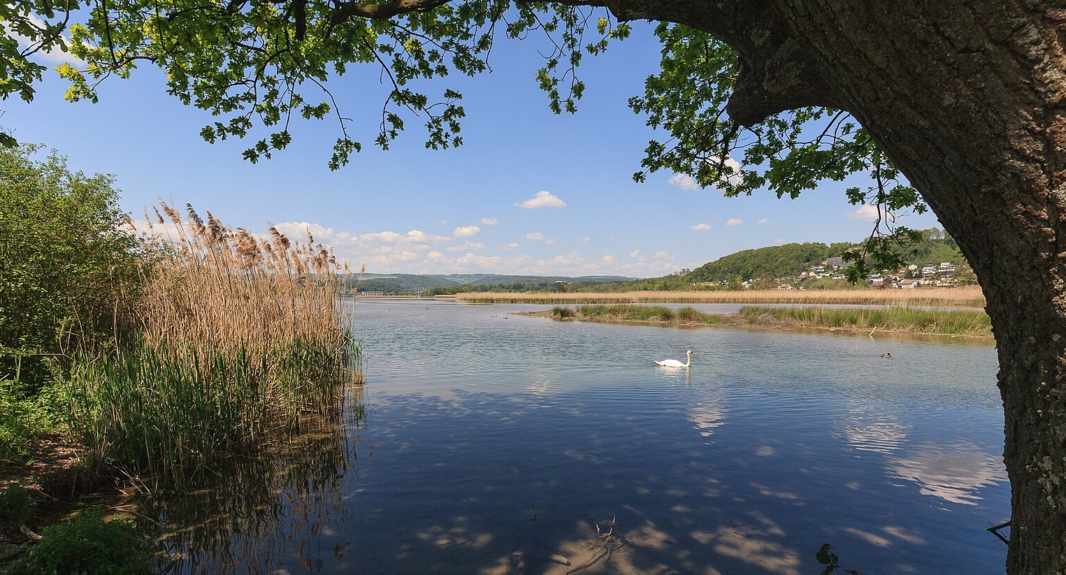 Klingnauer Stausee