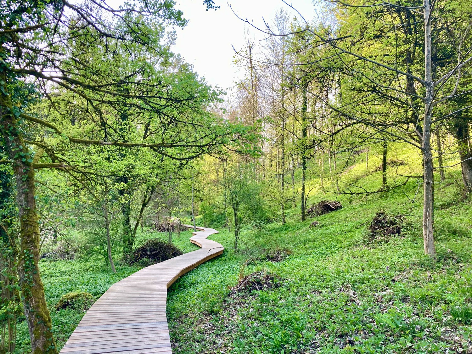 Holzsteg im Totentäli bei Winterthur