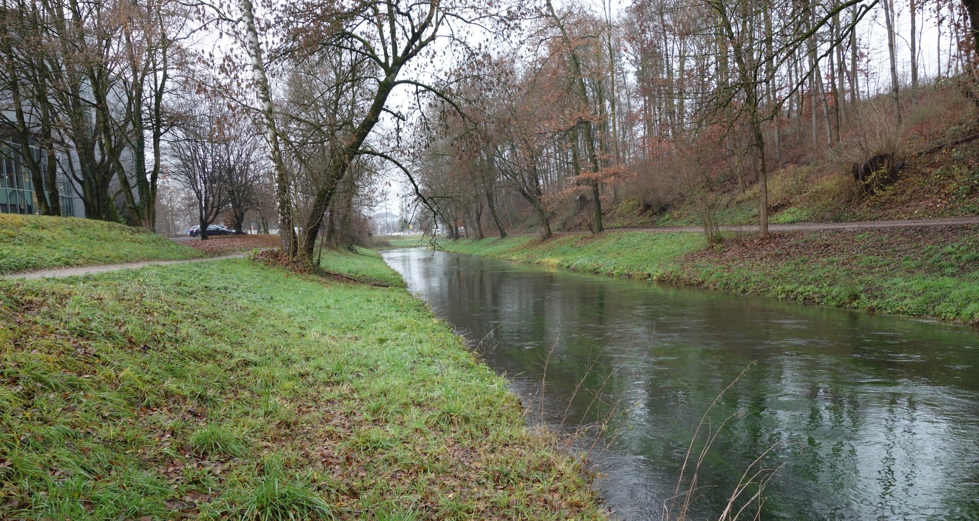 Glatt_4