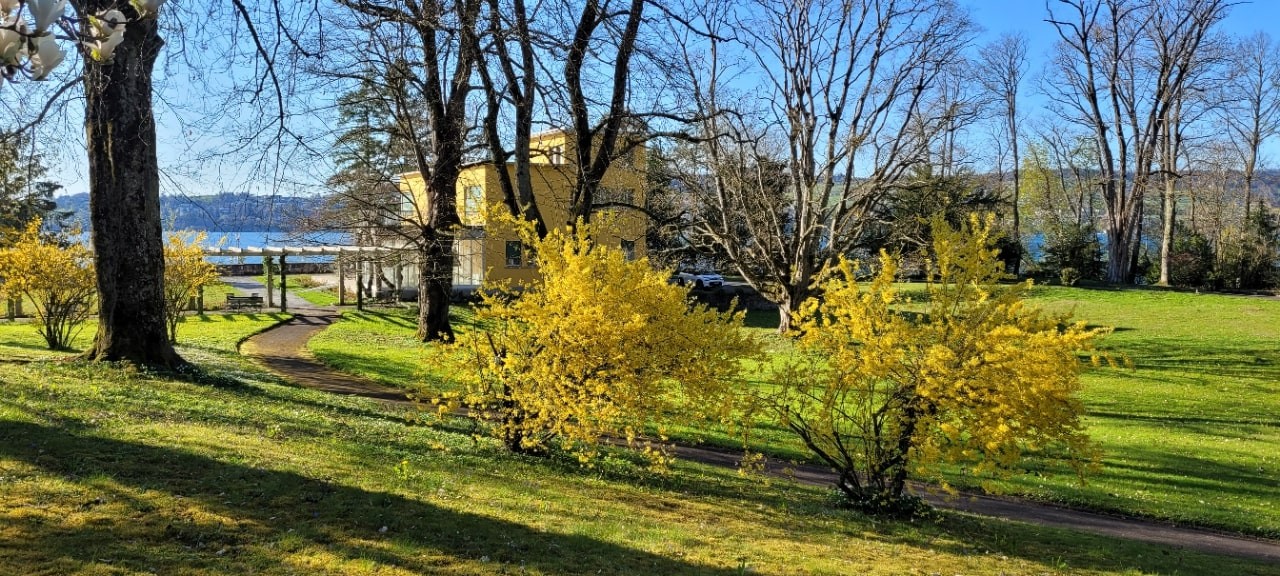 Villa Senar