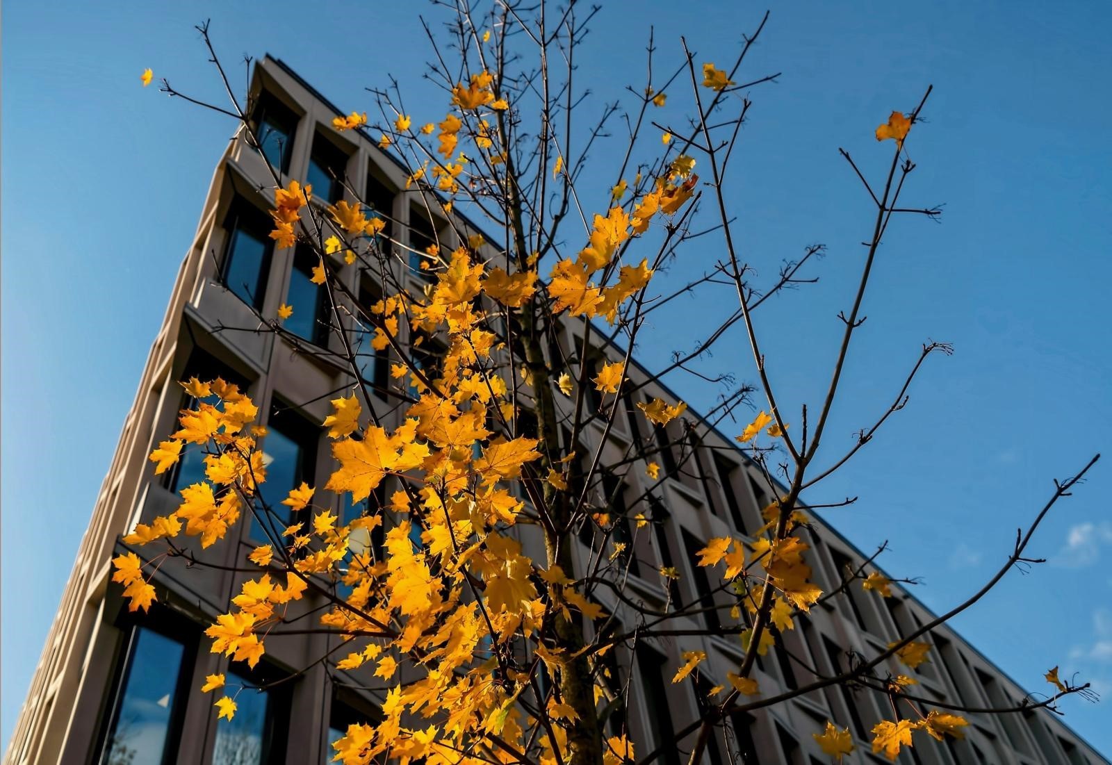 KOF-Baublatt-Ausblick 02/2025