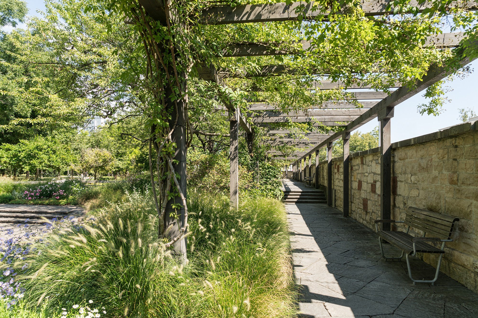 Pergola im Kannenfeldpark in Basel