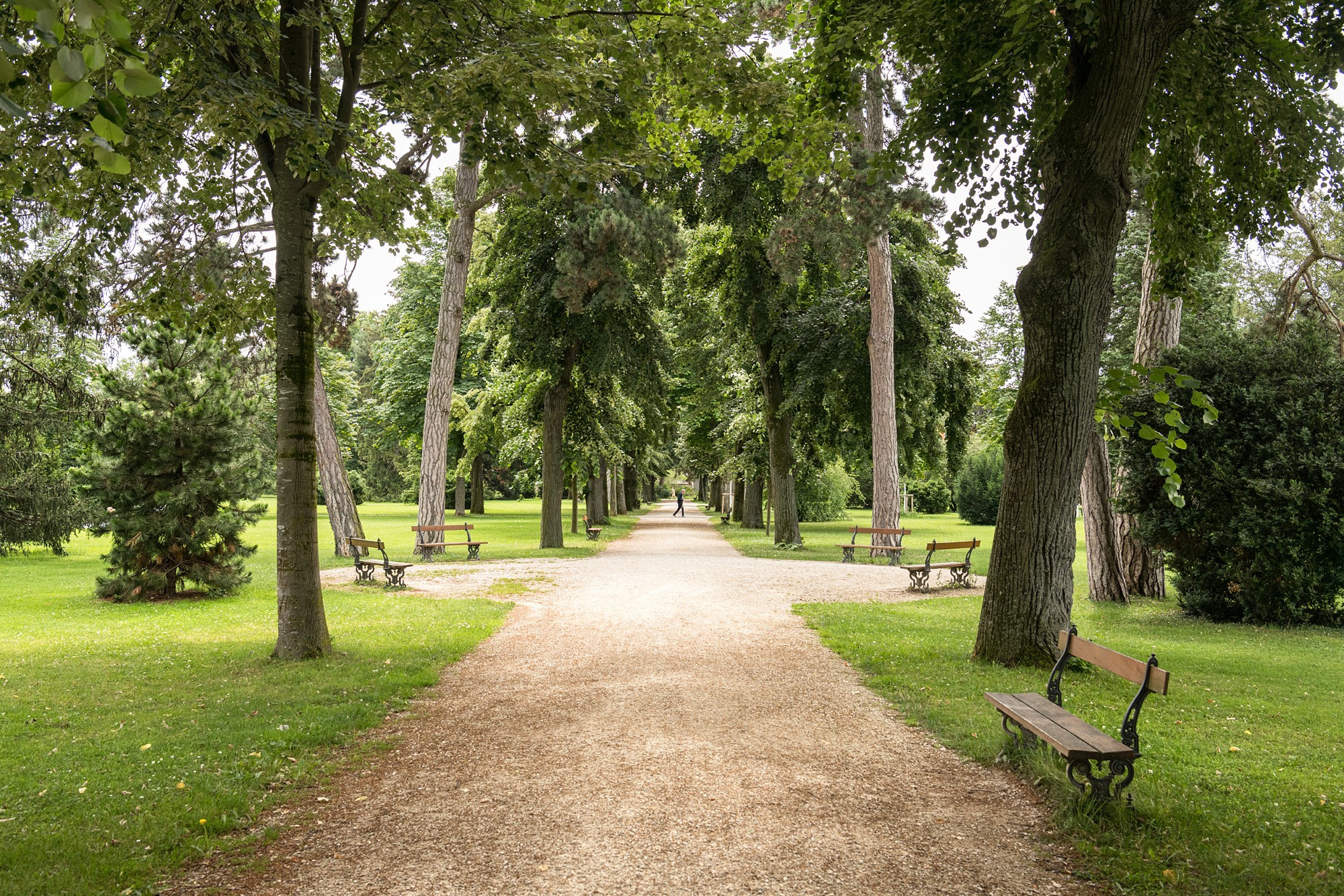 Allse im Kannenfeldpark in Basel