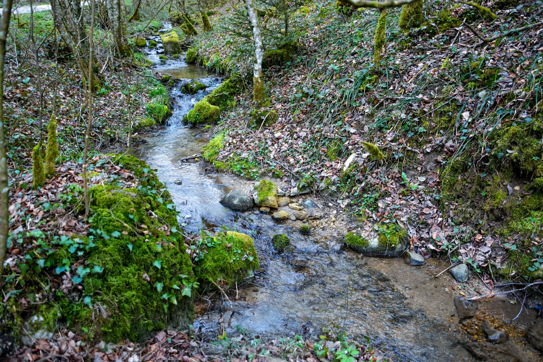 Littenbach