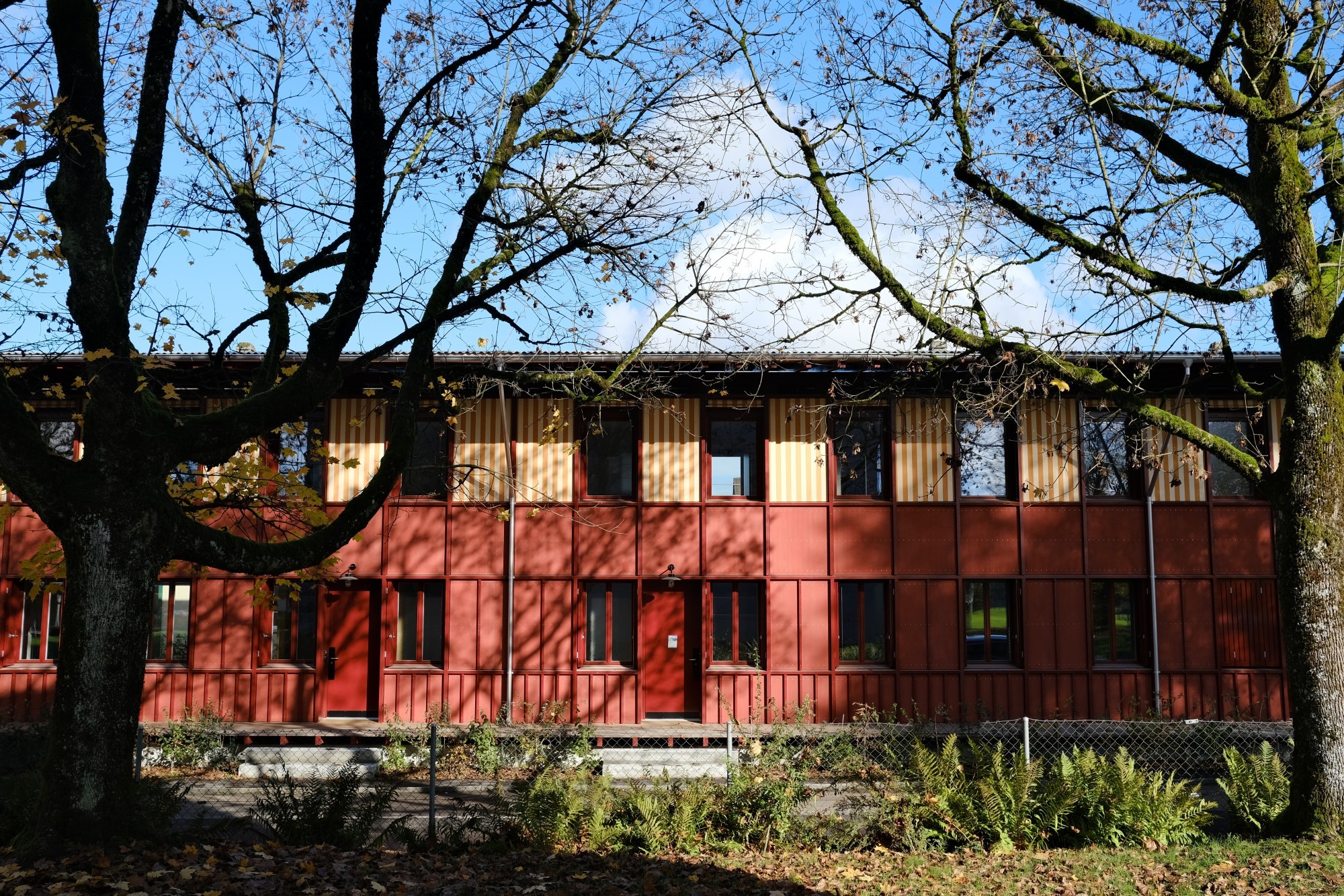 Pappelhöfe, Langenthal