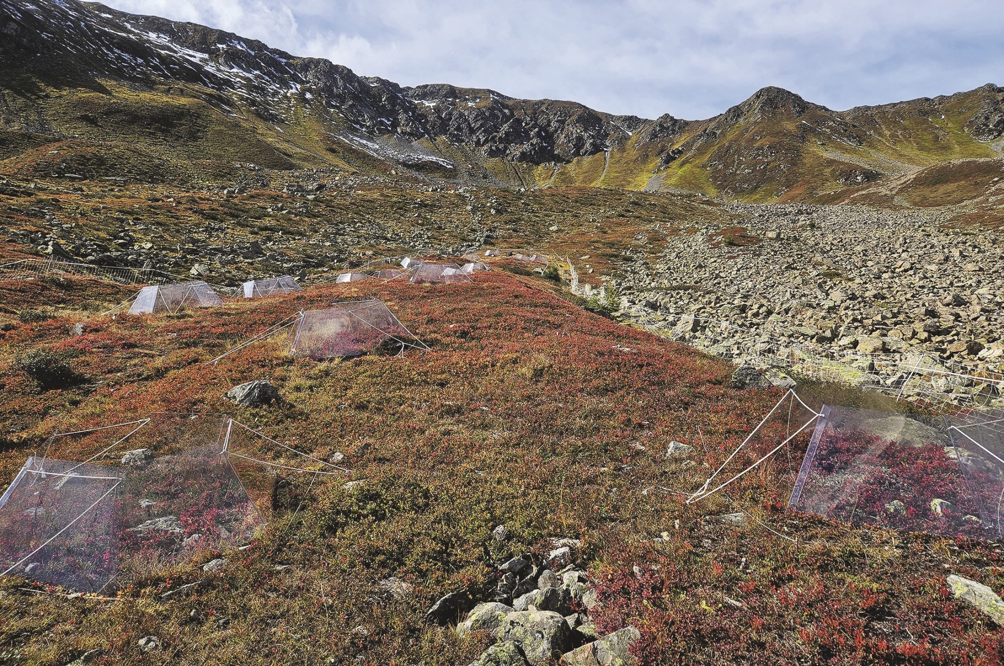 Ausflugstipp 25 - Wandern, wo andere forschen - Davos