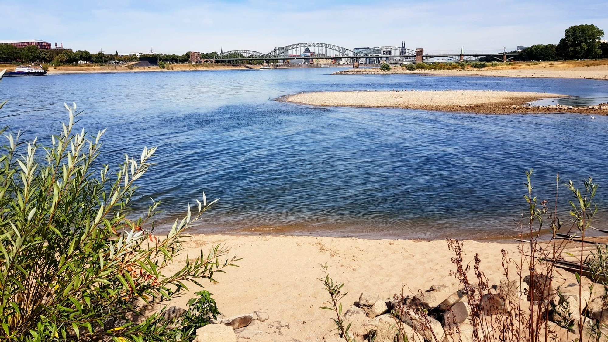 Der Rhein im Sommer 2018 bei Köln.