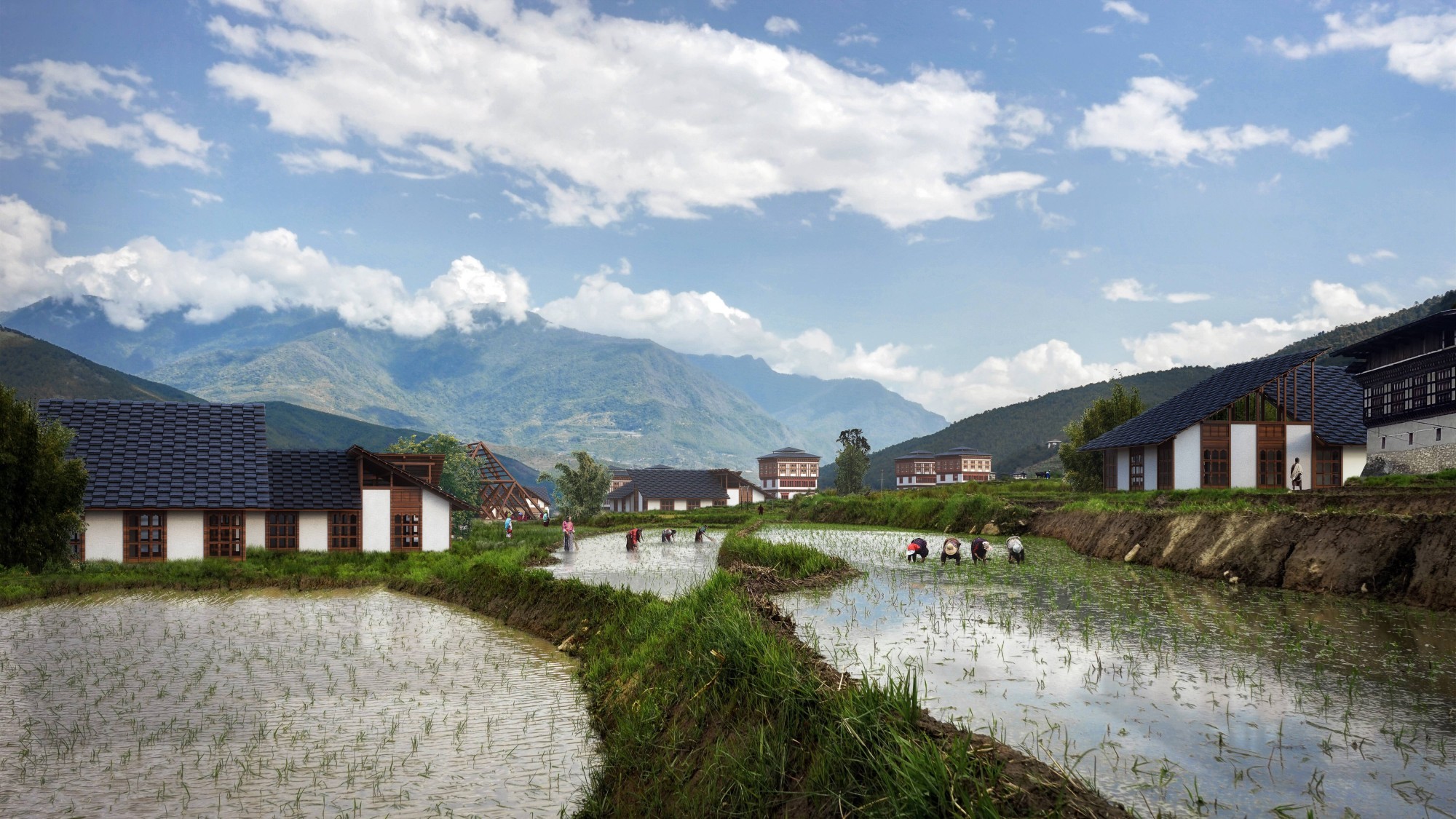 Reisfelder Gelephu Mindfulness City Bhutan