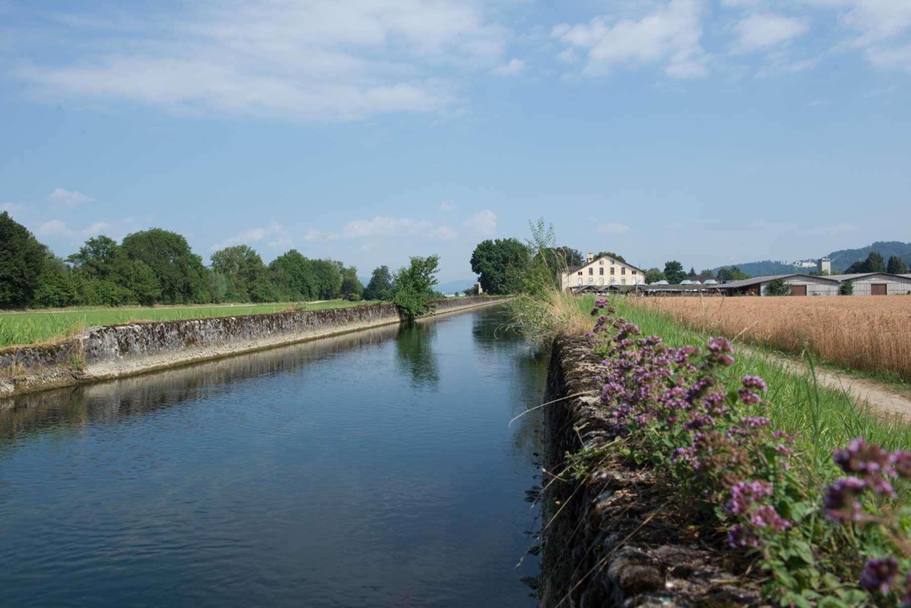 Aarelandweg
