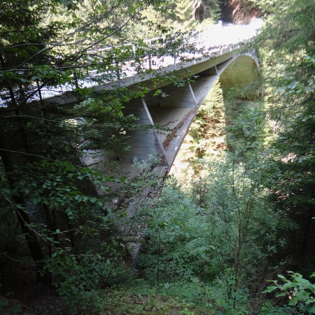 DSC01651
