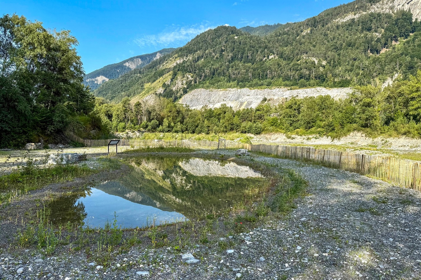Naturschutzgebiet Rheinauen in Trimmis