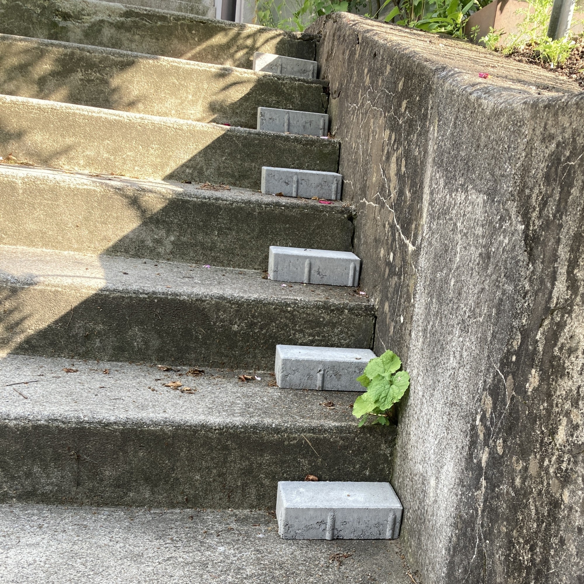 Zwischenstufen bei einer Treppe für Igel