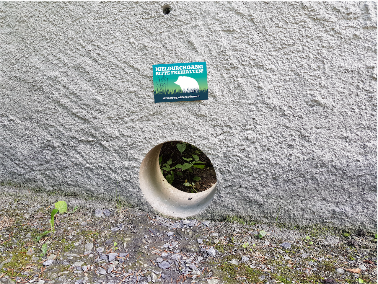 Kernbohrungen für Igel