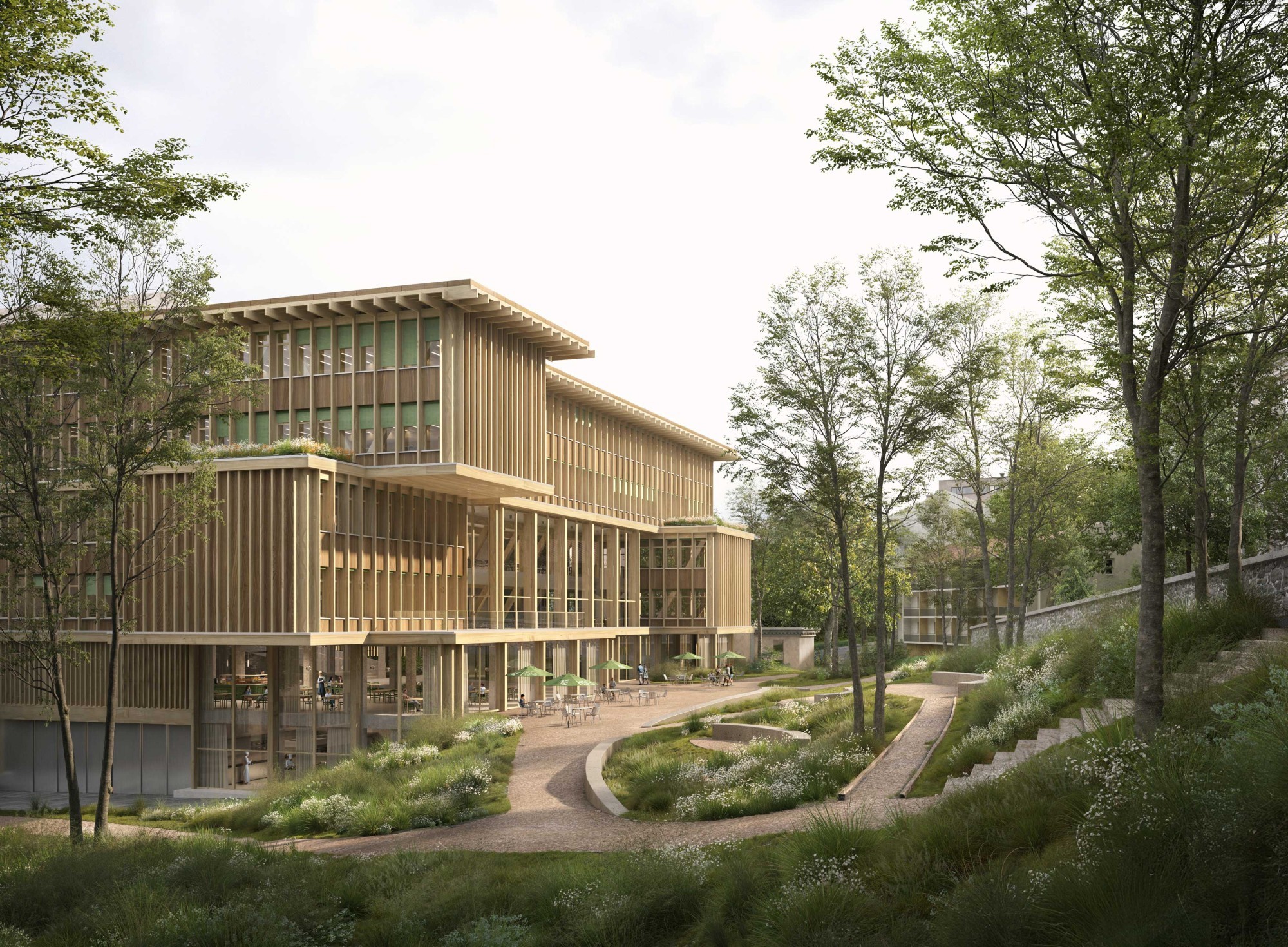 Siegerprojekt Neubau HSG Campus Platztor Zumiki Hang