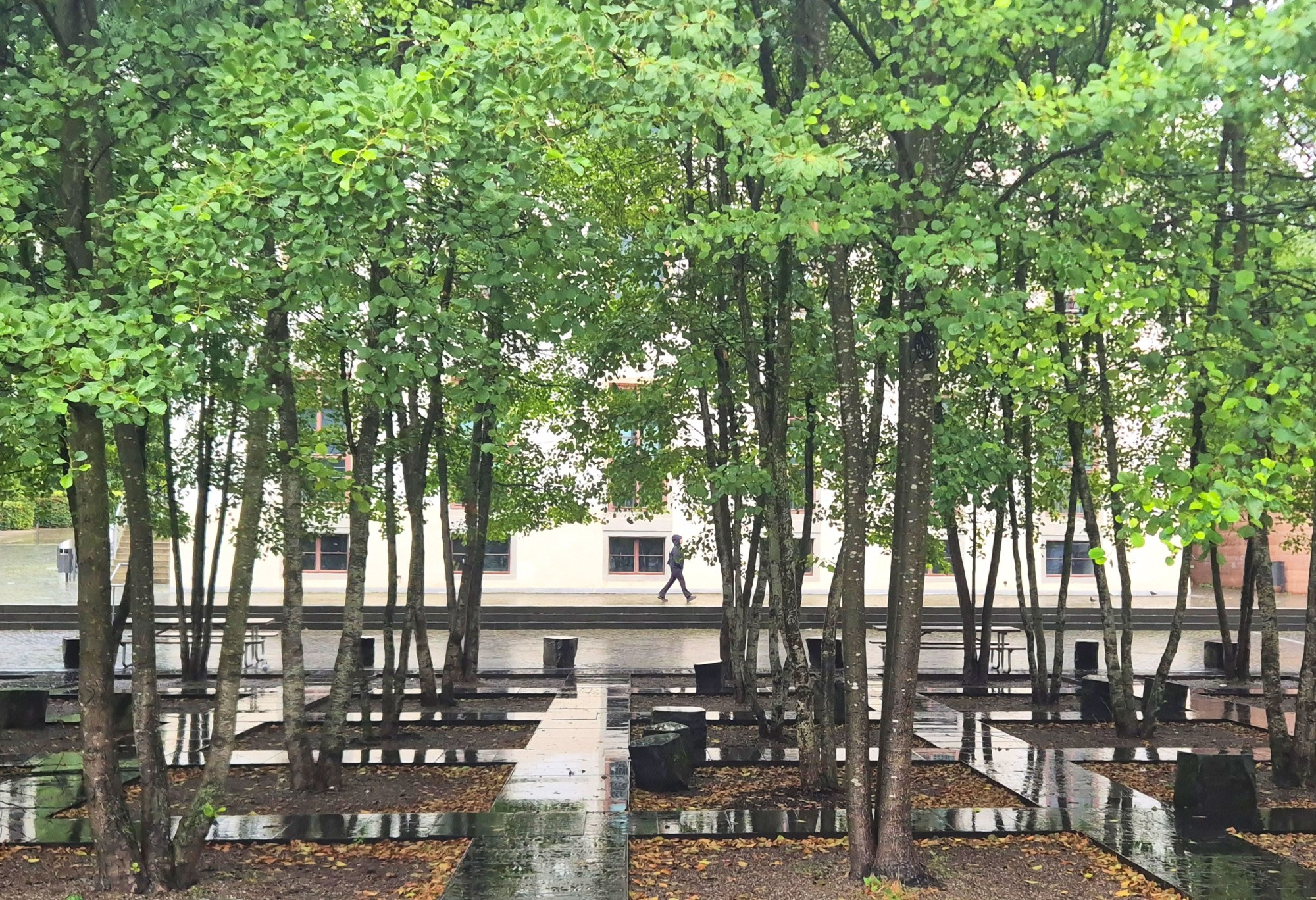Bepflanzung im Stadtteil Greencity in Zürich