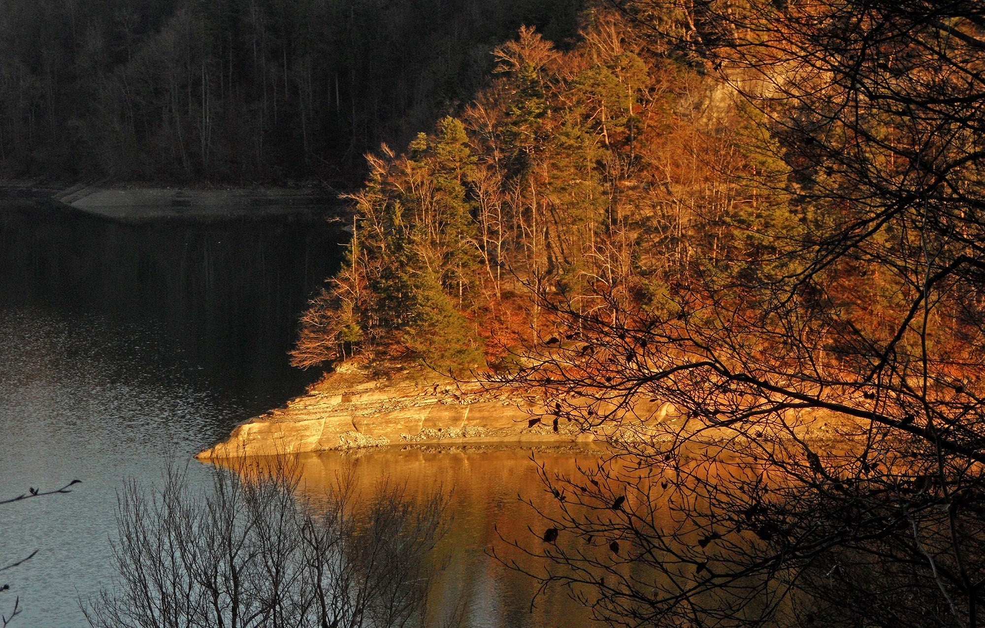 Herbststimmung am Lac de Gruyère.